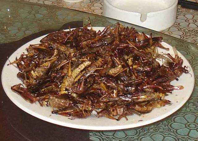 农村野味前8名排行有钱不一定买得到你吃过几种