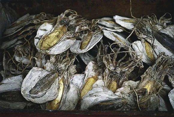 40年前的美食._年代