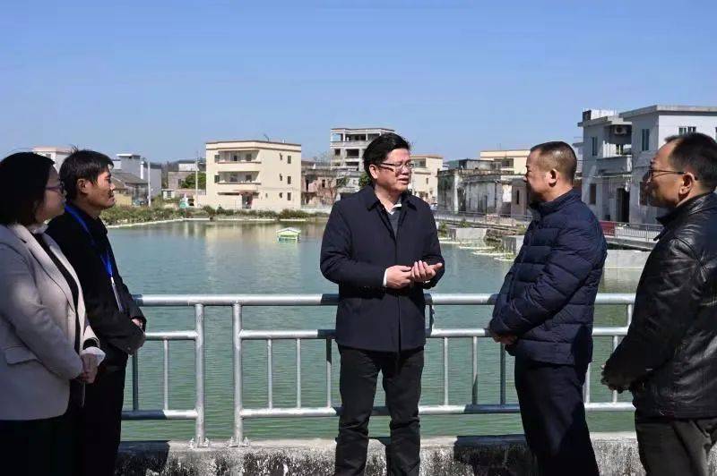 恩平市委书记黎沛荣率队调研,要求飞马大桥春节前通车