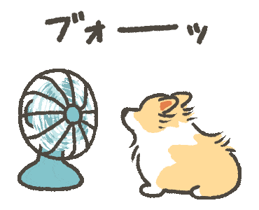 放暑假啦