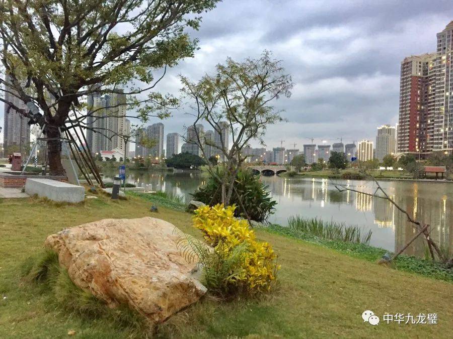 【玉石公园】湘桥湖九龙璧(华安玉)之二十四