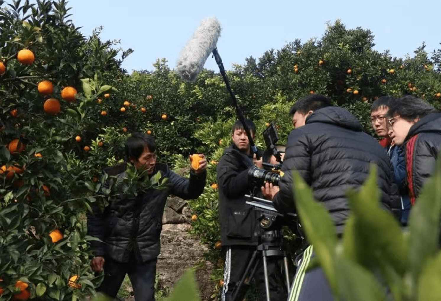 “有诗有橙有远方”的重庆市奉节县又要上央视了： 央视《中国诗词大会》（第六季）来奉节取景