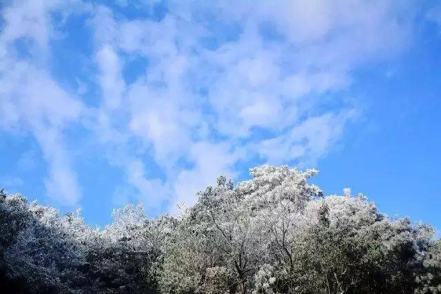 戶外純玩|帶你一起登上九仙山之巔,看冬日的霧凇,雲海奇觀一日遊!