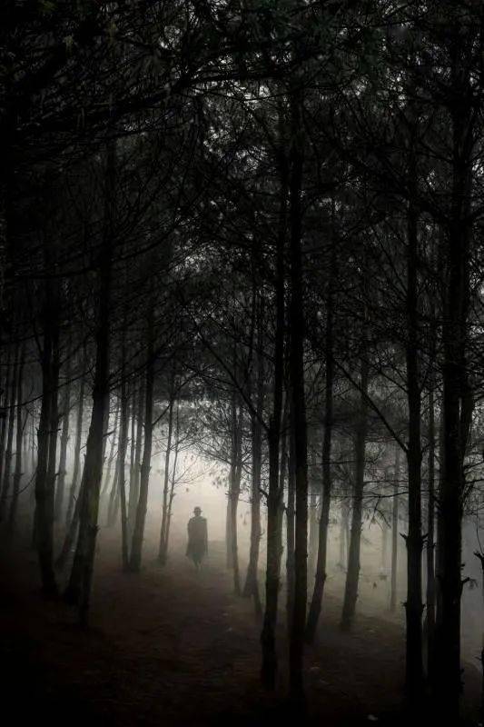 精选|《雾中风景》入选作品