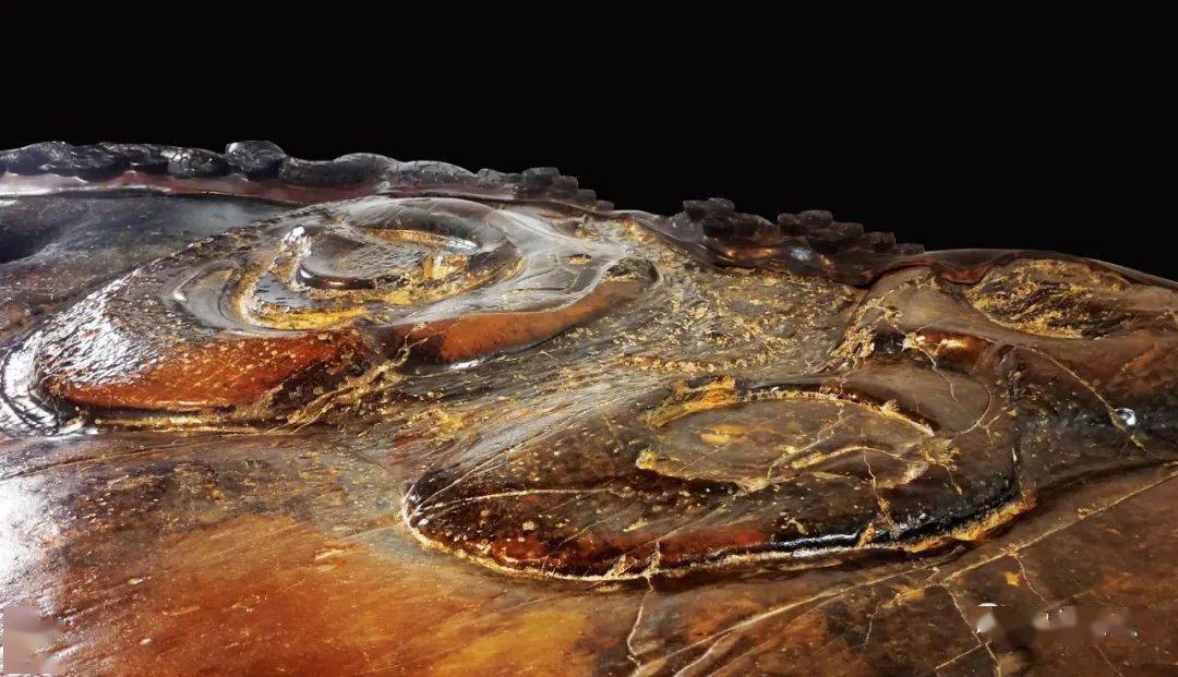 创作鉴评来宾石胆石源泉