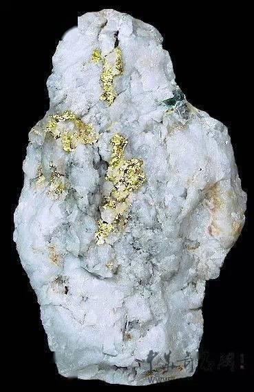 新年多金金矿石照片汇总太美了