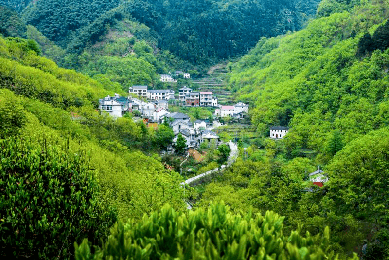 临安区新时代美丽乡村建设成果展(一—湍口镇桐坑村