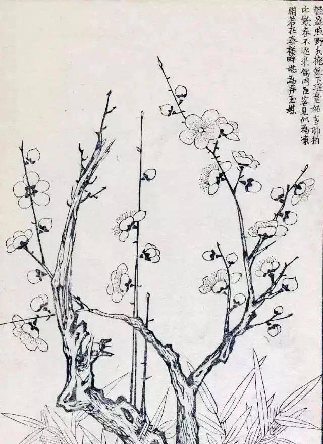 艺术欣赏清雅梅花的阵阵清香是冬天里最好的礼物冬天里也最适合画梅花