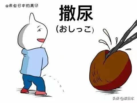 亮仔丨日本人第一次吃撒尿牛丸在火锅店里脑洞大开