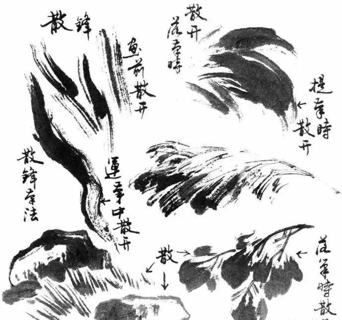 写意花鸟画笔墨技法详解!_笔锋