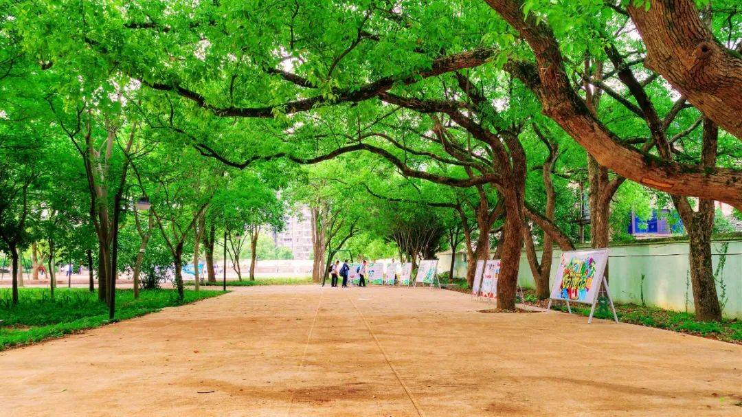 临海市外国语学校被评为浙江省园林式单位_校园