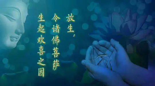 请把不花钱放生的方法法布施到圈子里, 你会得到无边无量的福报!