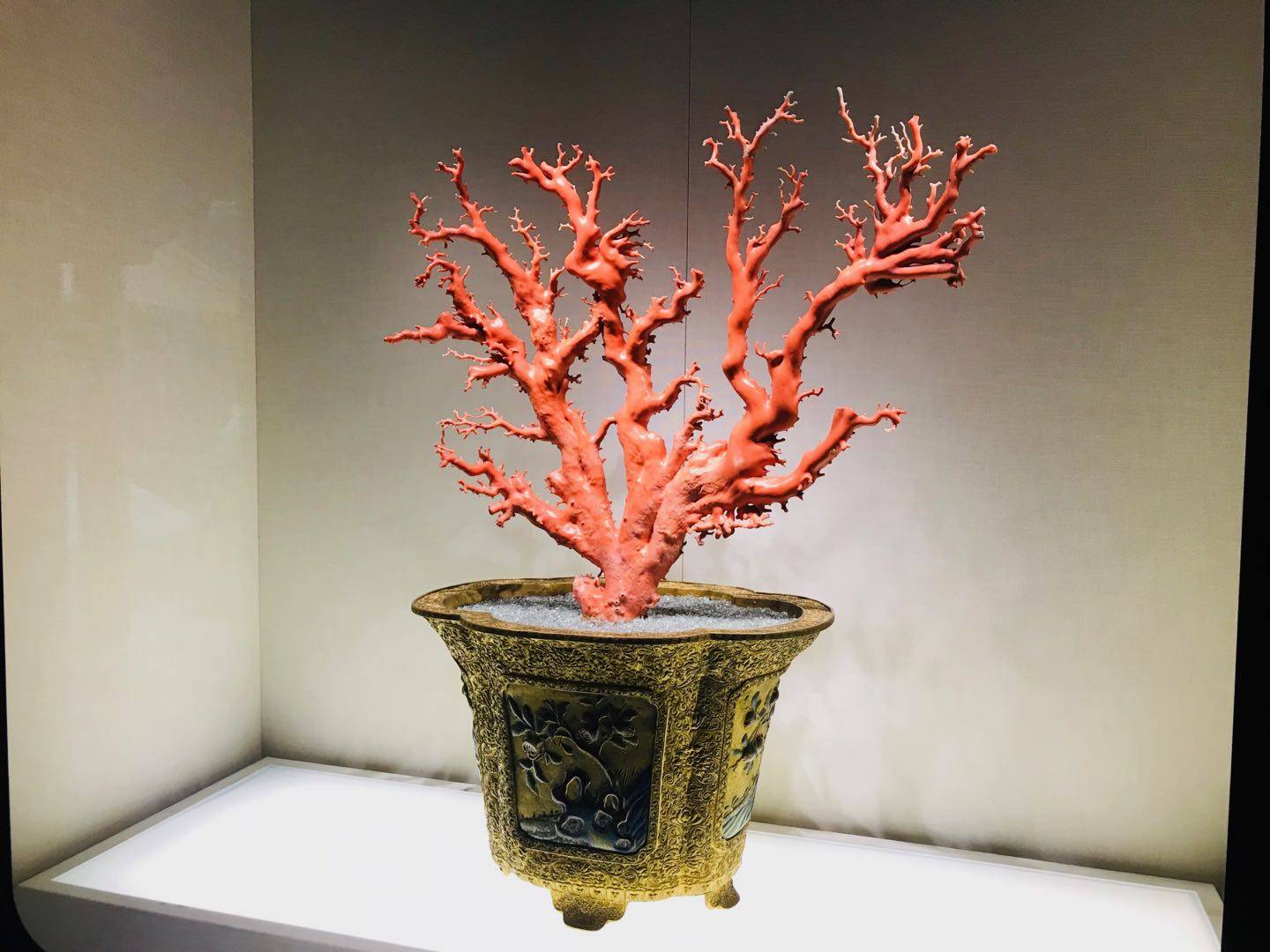 故宫珊瑚盆景图片