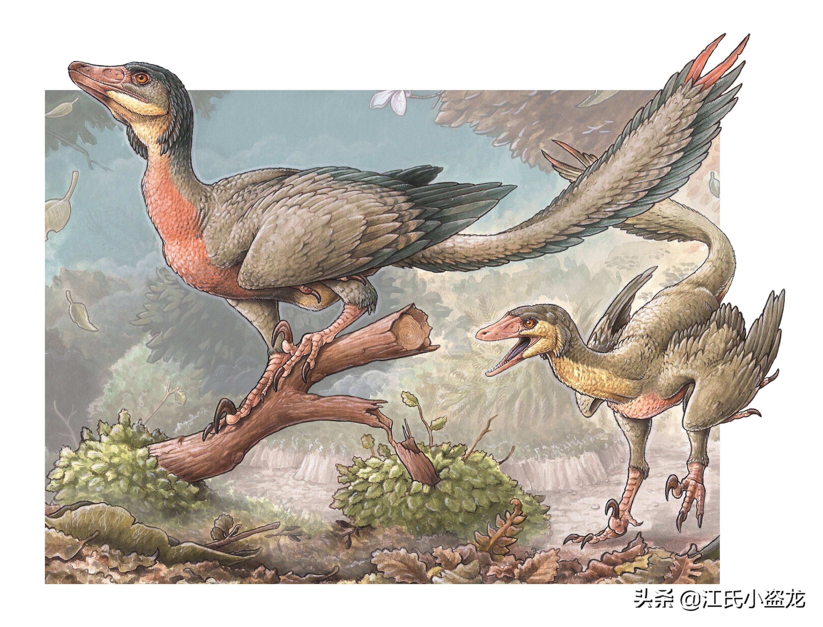 2020古生物学家到底命名了多少种恐龙？_Analong
