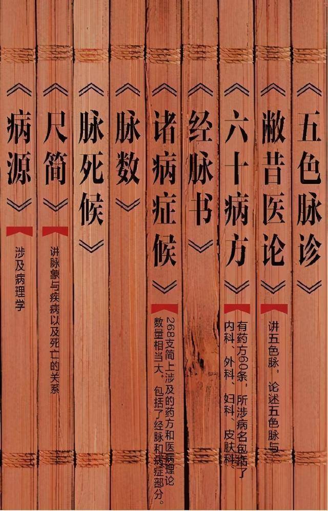 我所经历扁鹊医书发掘背后的故事