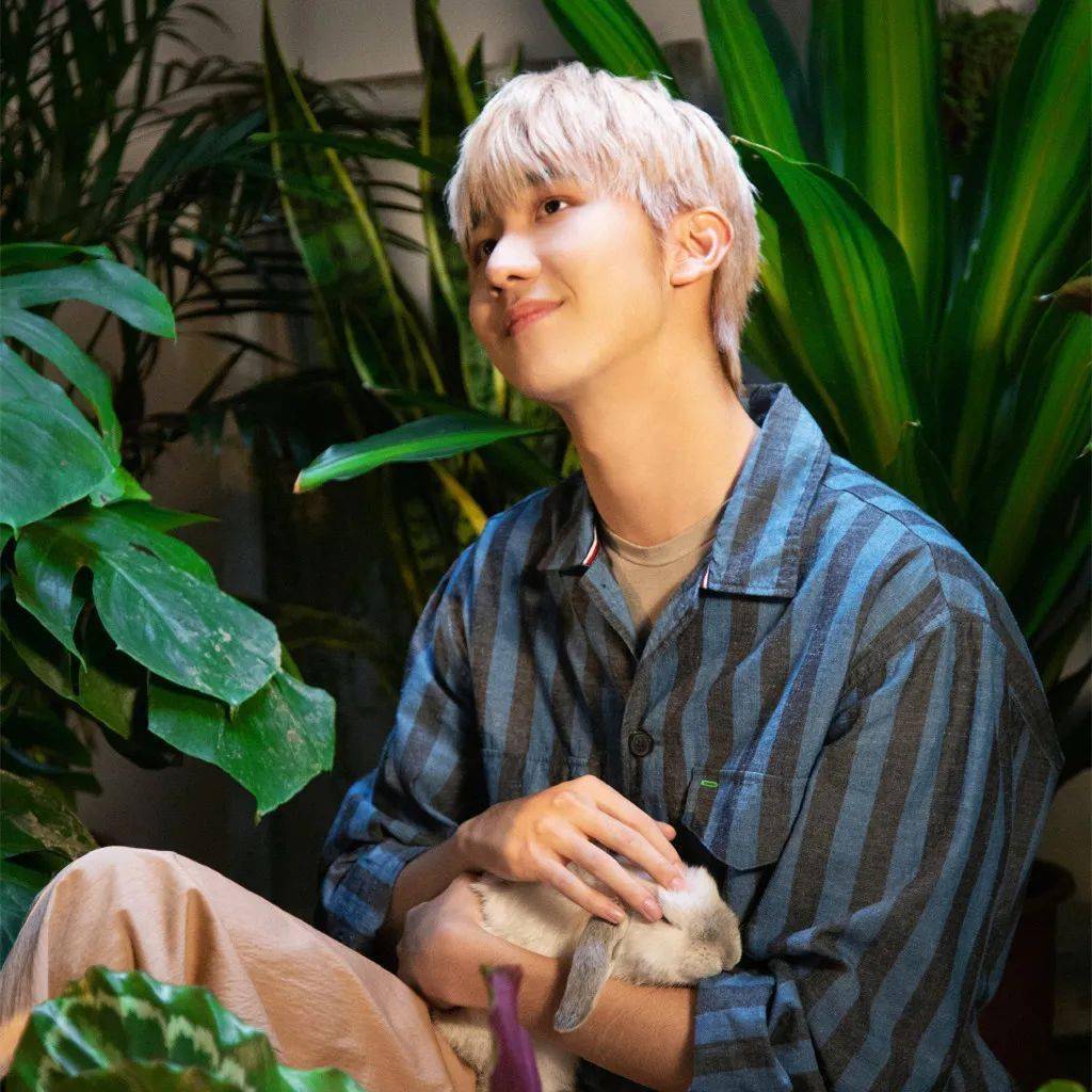 微信头像r1se赵让