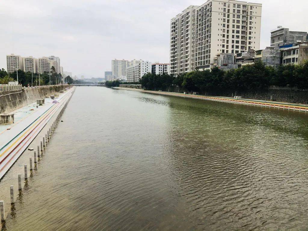 信宜东江河图片