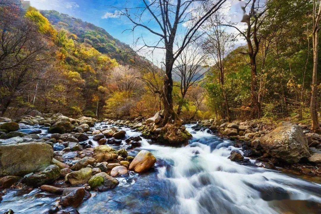 关注周至新添一家3a旅游景区看看是哪里