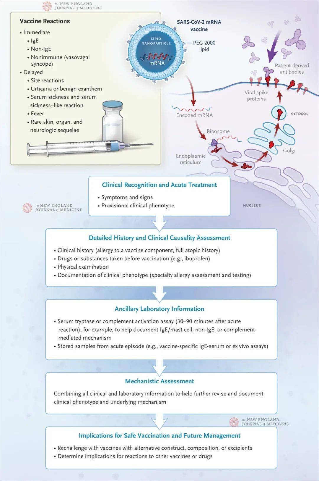 《新英格兰医学杂志》综述:新冠疫苗的安全性_严重