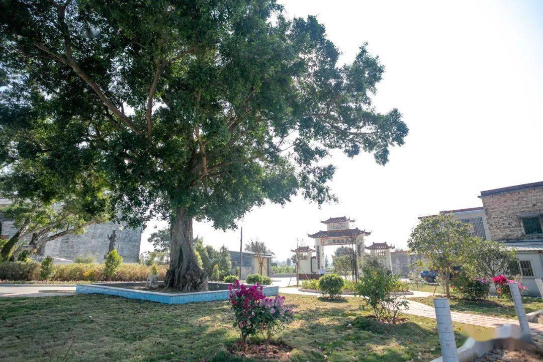 都斛镇莘村颜值大提升,村民幸福感满满!