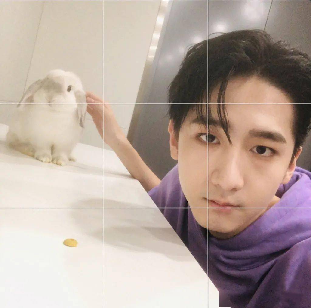 微信头像r1se赵让