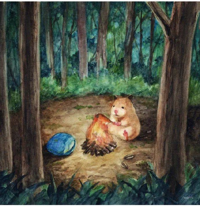 戳人萌点的仓鼠,毛绒绒好像生活中的你和我