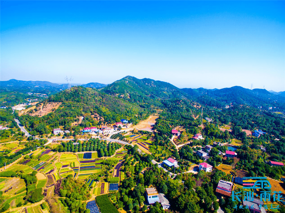 促进跳马花卉苗木产业与文旅,康养深度融合发展,石燕湖村,新田村,金屏