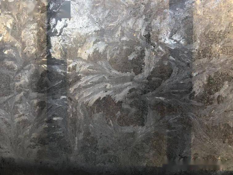 159c青岛近30年最低温泼水成冰