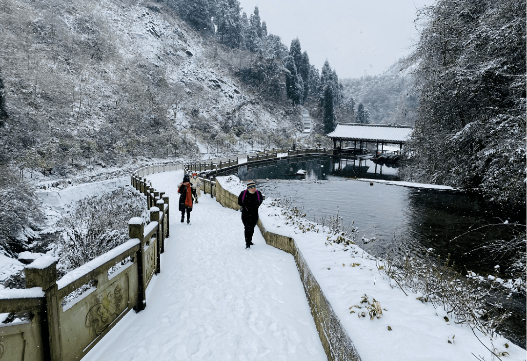 下雪啦什邡城区头皮雪山区好大雪