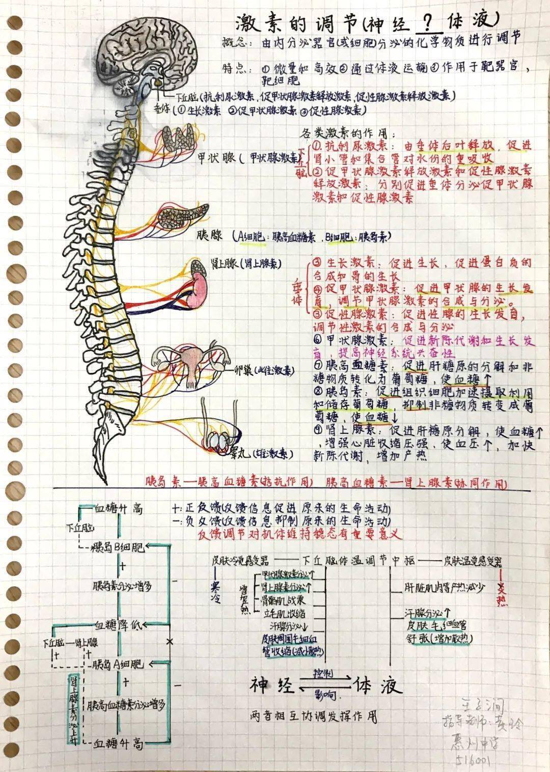 作品展示丨2020学生生物学笔记大赛一等奖(部分)_手机搜狐网