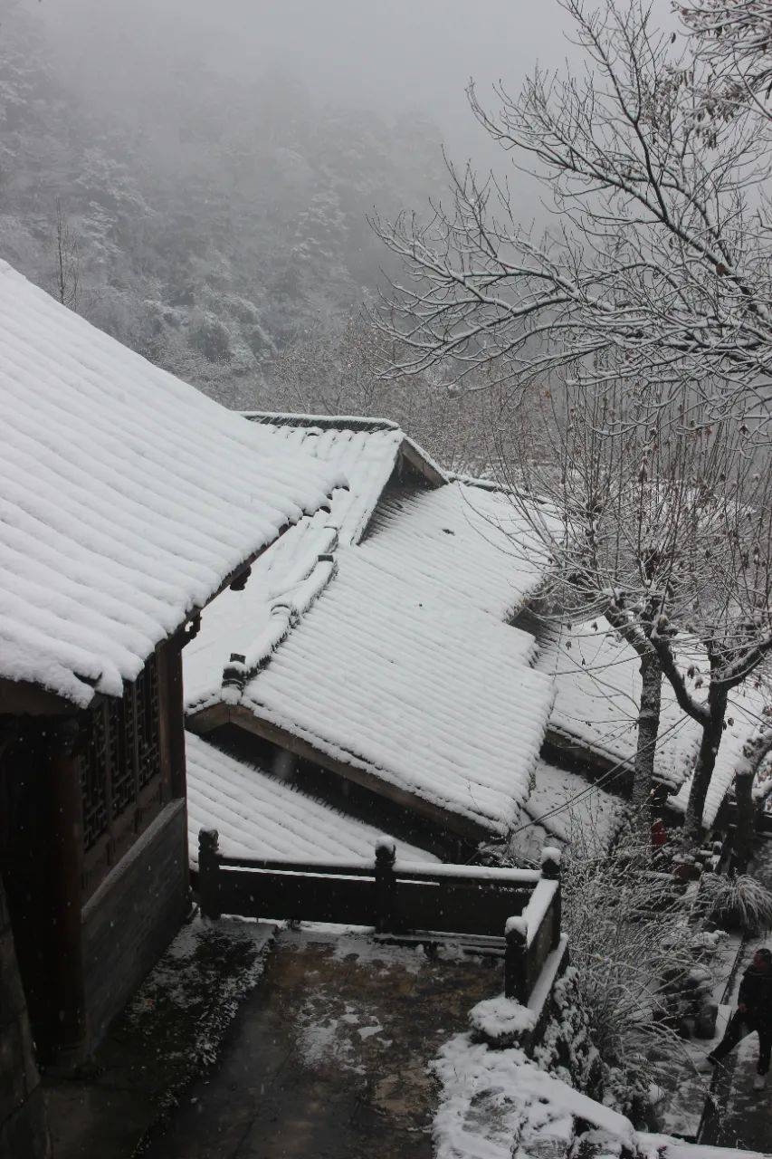 都江堰灵岩山新年第一场雪满是古风之美