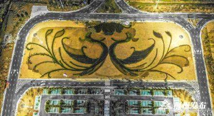 荆州机场站前广场竣工，从空中看它像......