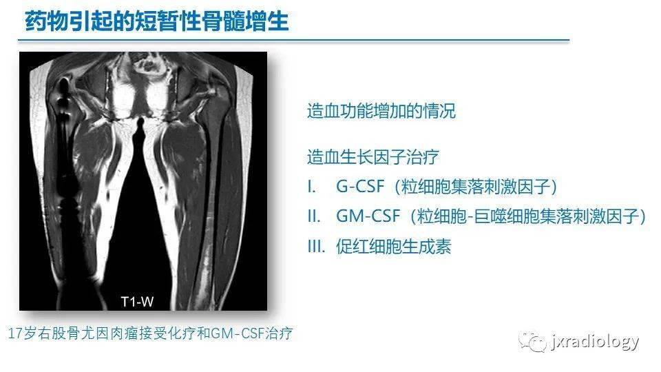 黄骨髓红骨髓图片