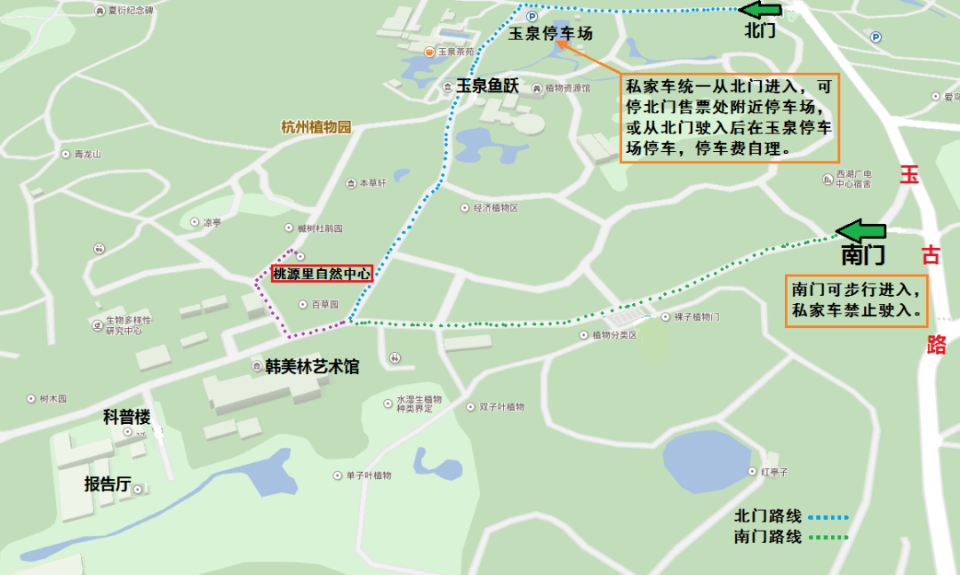 水仙达人教你雕刻水仙花!_杭州