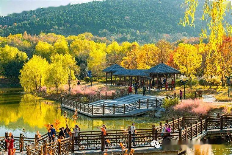 2020杏会邳州徐州朱东平67邳州美景秋季创作采风行摄影作品欣赏