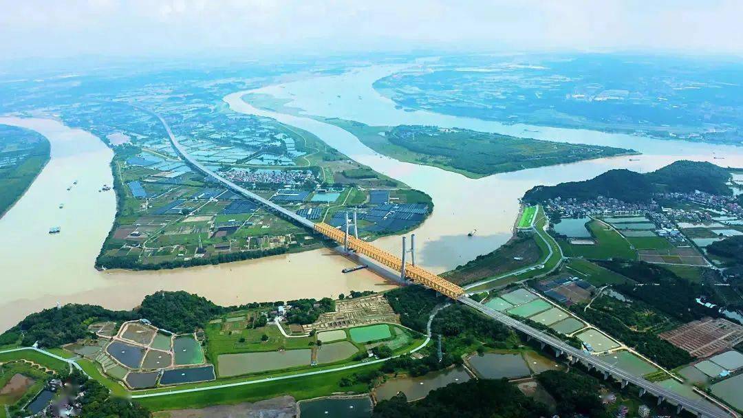 从千帆待发到万舸争流珠江水运开启高质量发展新篇章