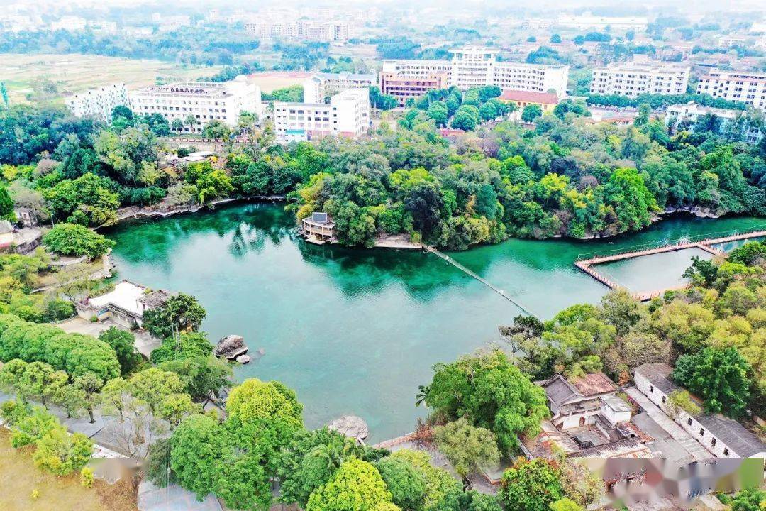 元旦账单接待387万人次收入16435万元掌上武鸣