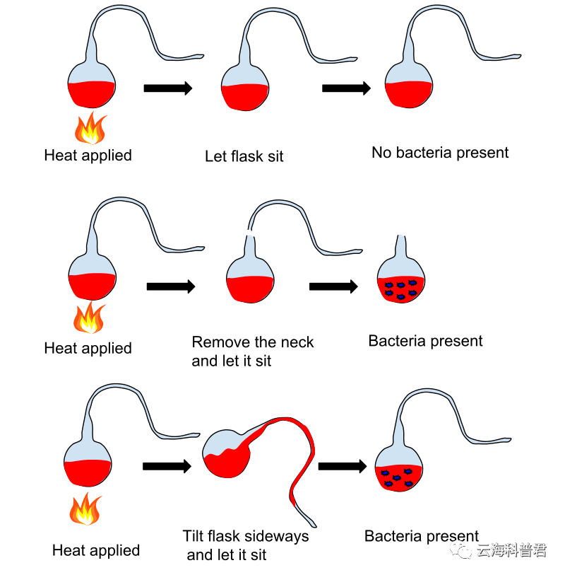 老爷子才用著名的鹅颈瓶实验将自然发生论彻底扫进了科学的垃圾堆