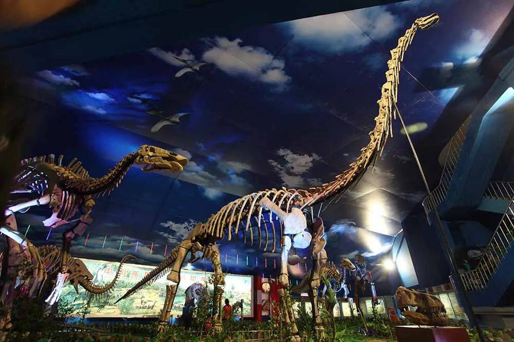 诸城恐龙博物馆则囊括世界上最大的巨型诸城暴龙和最原始的诸城