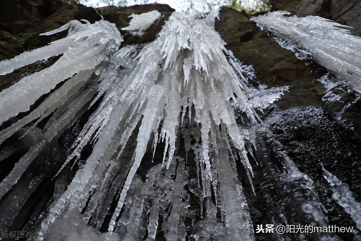 6c南京东郊风景区再现冰挂形态各异蔚为壮观