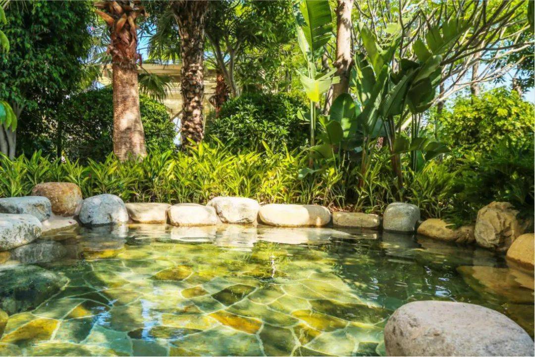 留厦过年|来集美约"泡"吧!_温泉