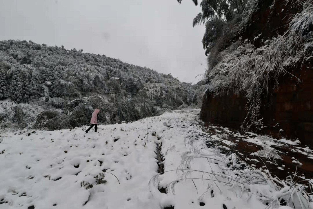 泸州今天很多地方都下雪了~_方山