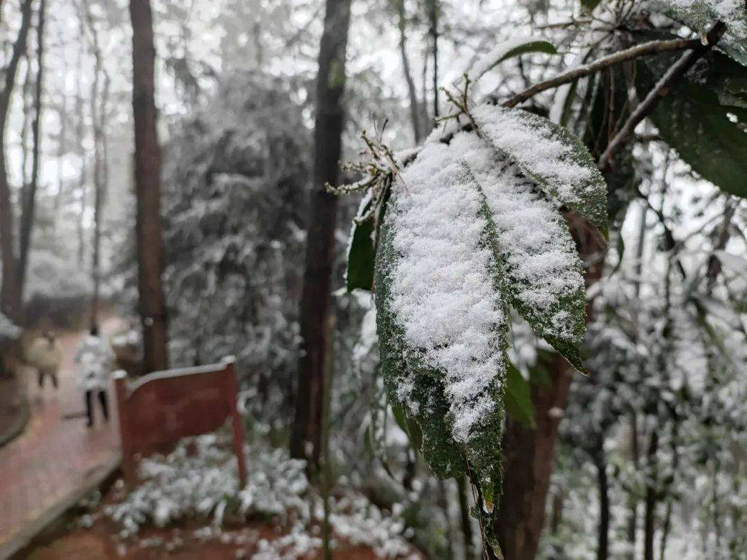 泸州今天很多地方都下雪了~_方山