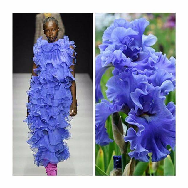 收藏|服装设计灵感(第二季)