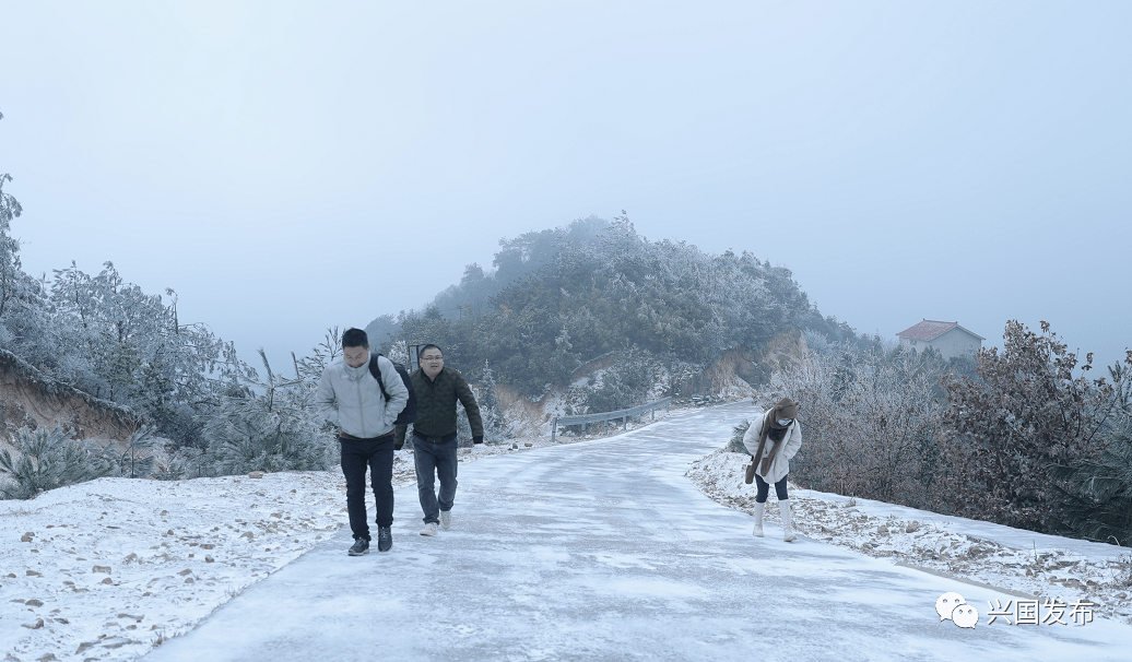 美到犯规的一起去看看吧跟着小编新鲜出炉的雪景▲枫边大乌山披上银装