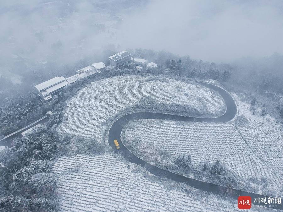 雅安市民都在等待着一场大雪那场大雪之后还在2016年1月份雅安城区