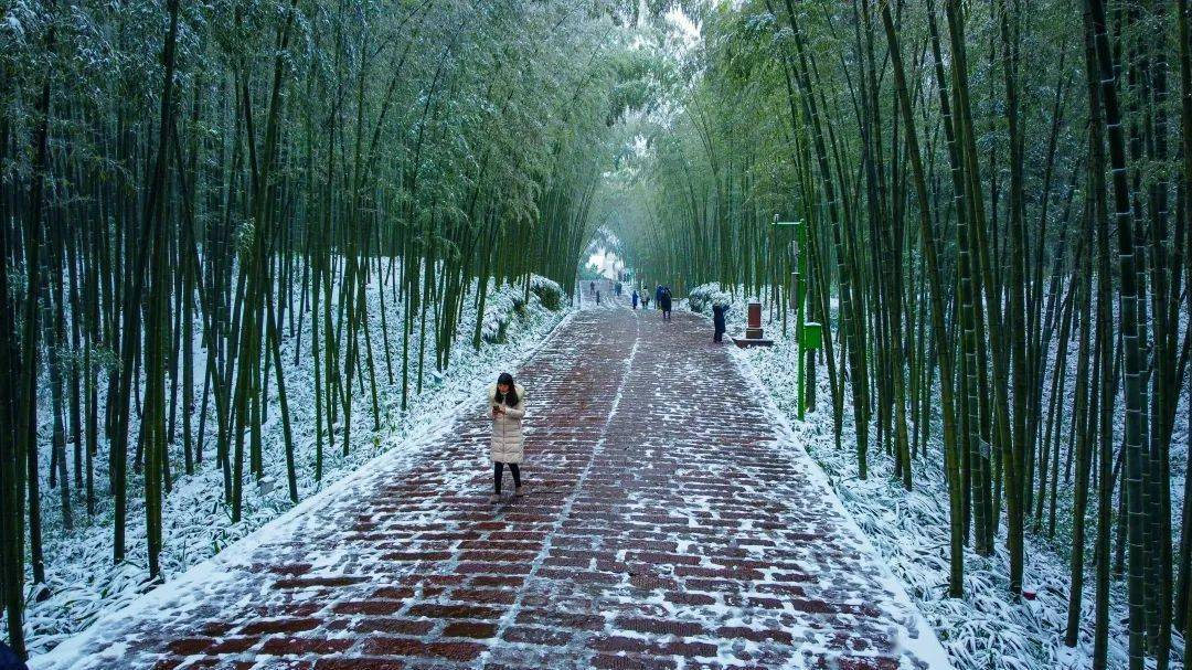 蜀南竹海雪景图片图片