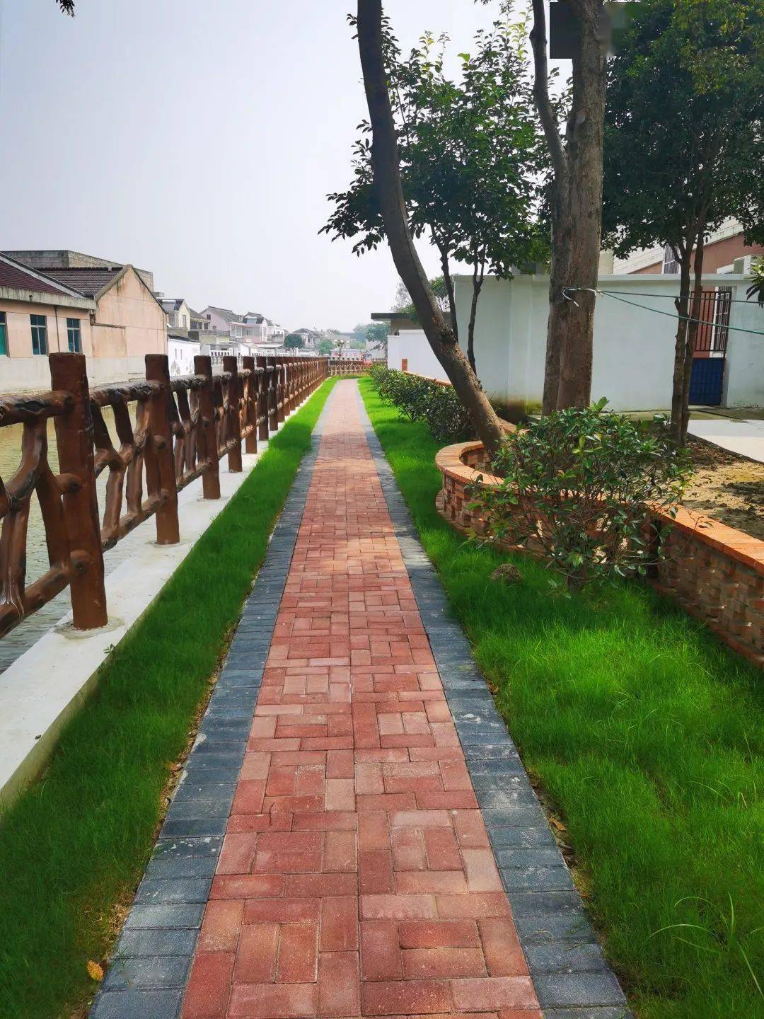 灵在碧溪全市千村美居长效管理优等生