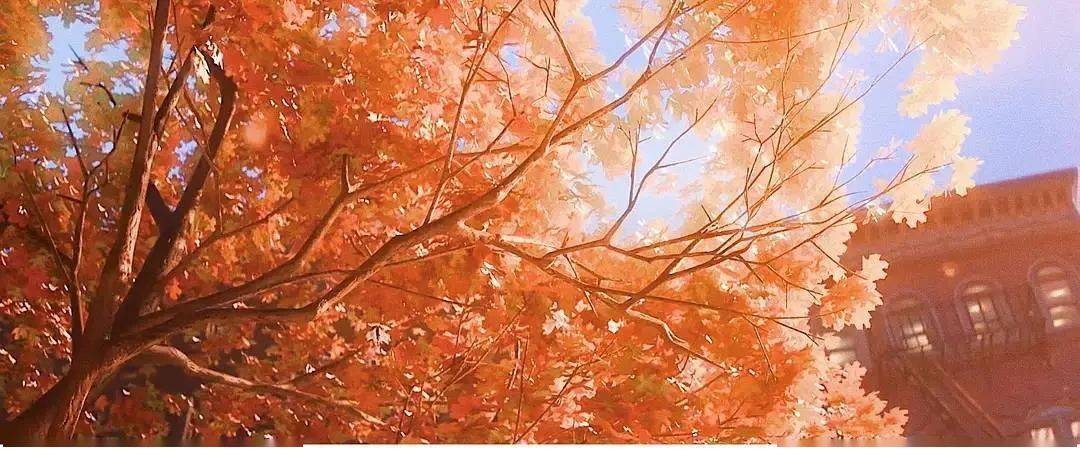 电影中的心理咨询靠谱吗咨询师观影心灵奇旅