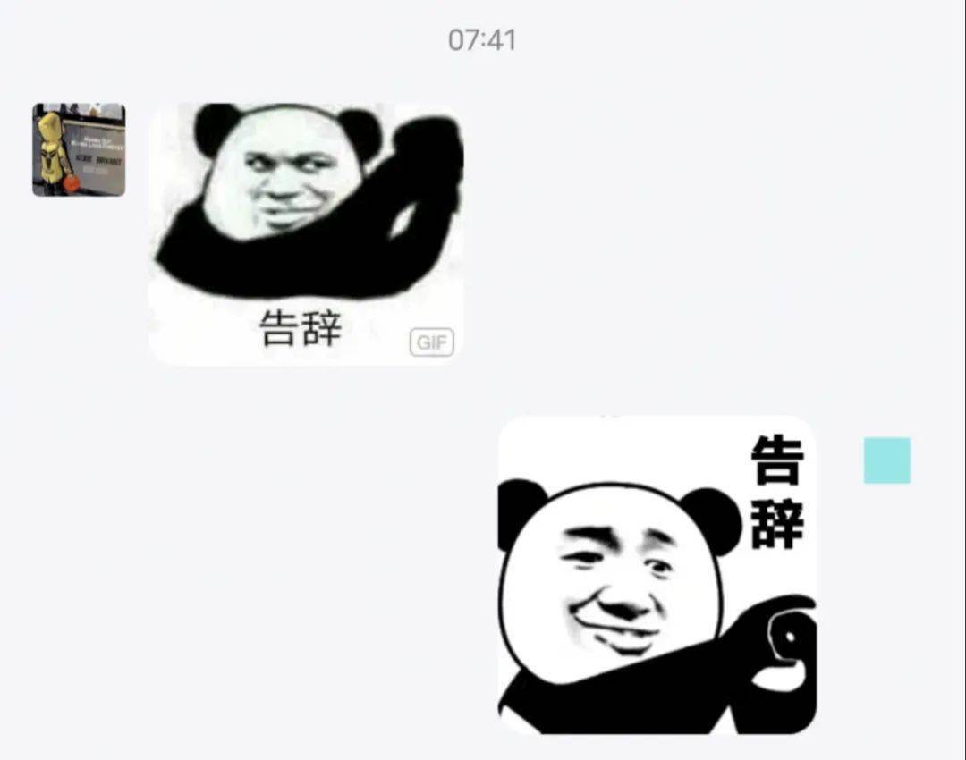 已经有小可爱你好,家乡再见,新科我们整装待发收拾好行李都不及回家的